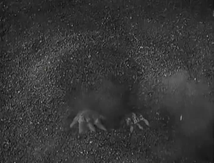 Extrait vidéo du film  Le Peuple de l enfer