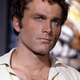 Voir les photos de Franco Nero sur bdfci.info