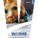 photo du film Valérian et la cité des mille planètes