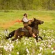 photo du film Django Unchained