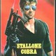 photo du film Cobra