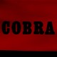 photo du film Cobra