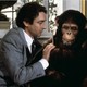 photo du film Max mon amour