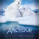 photo du film Arctique