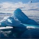 photo du film Arctique