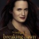 photo du film Twilight - Chapitre 5 : Révélation, partie 2