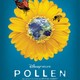 photo du film Pollen