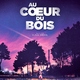 photo du film Au cœur du bois