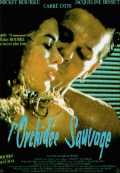 voir la fiche complète du film : L Orchidée sauvage