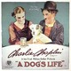 photo du film Une Vie de chien