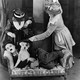 photo du film Une Vie de chien