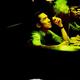 photo du film 2046