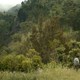 photo du film Les Gouffres