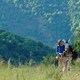 photo du film Antoinette dans les Cévennes