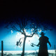 photo du film Jeepers Creepers, le chant du diable