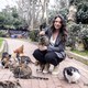photo du film Kedi, des chats et des hommes
