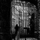photo du film Oliver Twist