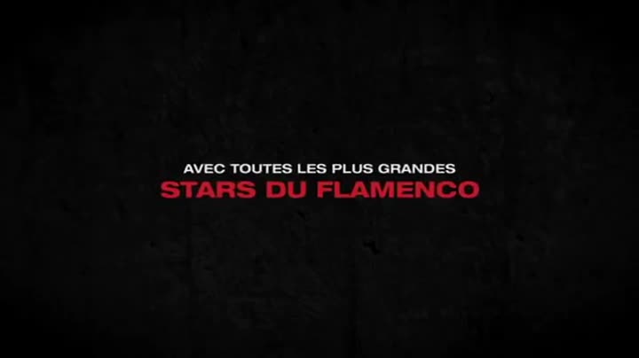 Extrait vidéo du film  Flamenco, flamenco
