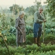 photo du film La Gueule ouverte