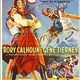 photo du film Le Gaucho