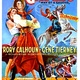 photo du film Le Gaucho