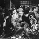 photo du film Volpone