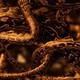 photo du film Blueberry, l'expérience secrète