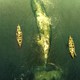 photo du film Au cœur de l'océan