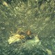 photo du film Au cœur de l'océan