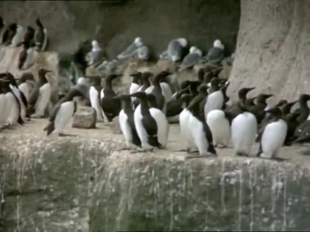 Extrait vidéo du film  Le Territoire des autres