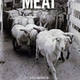 photo du film Meat