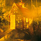 photo du film Cubbyhouse