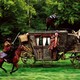 photo du film D'Artagnan