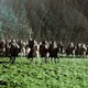photo du film D'Artagnan
