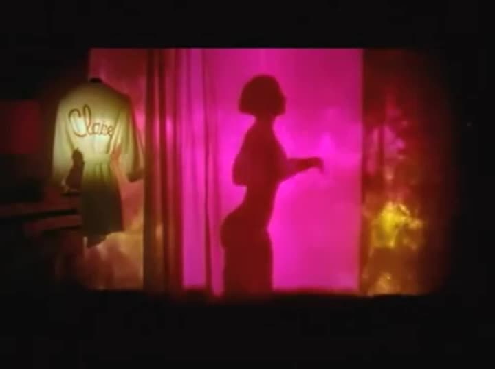 Extrait vidéo du film  Serial Lover