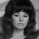 Voir les photos de Sylvie Bréal sur bdfci.info