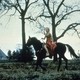 photo du film Simpatico