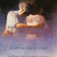 photo du film La Ménagerie de verre