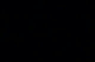 Extrait vidéo du film  Pierre Verger, messager entre deux mondes