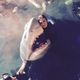 photo du film 47 Meters Down