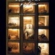 photo du film Bastardo