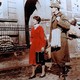 photo du film Le Temps d'aimer et le temps de mourir