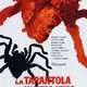 photo du film La Tarentule au ventre noir