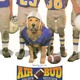 photo du film Air Bud