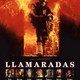 photo du film Backdraft