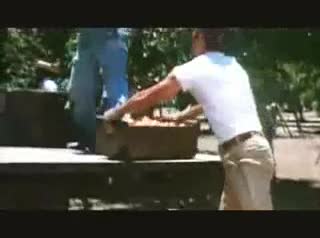 Un extrait du film  La Bamba