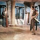 photo du film La Terre des pharaons