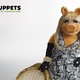 photo du film Les Muppets, le retour