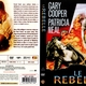 photo du film Le Rebelle