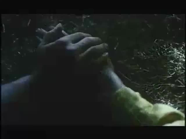 Extrait vidéo du film  Les Amants du Pont-Neuf